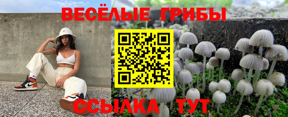 Псилоцибиновые грибы мухоморы  Вход с VPN  Северобайкальск  Галлюциногенные грибы ЛСД 