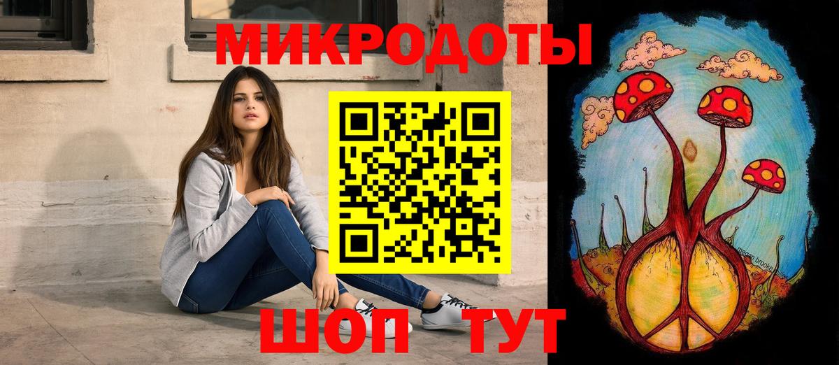 Псилоцибиновые грибы Psilocybine cubensis Северобайкальск